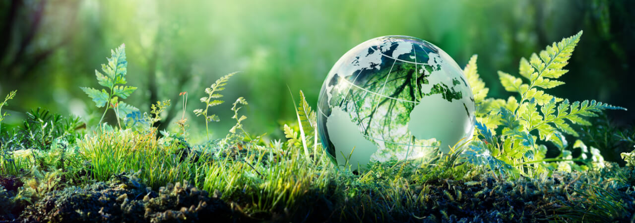 Kalite ve Çevre Politikamız